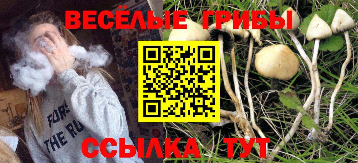 Псилоцибиновые грибы Psilocybine cubensis  Вход с VPN  Балашиха 