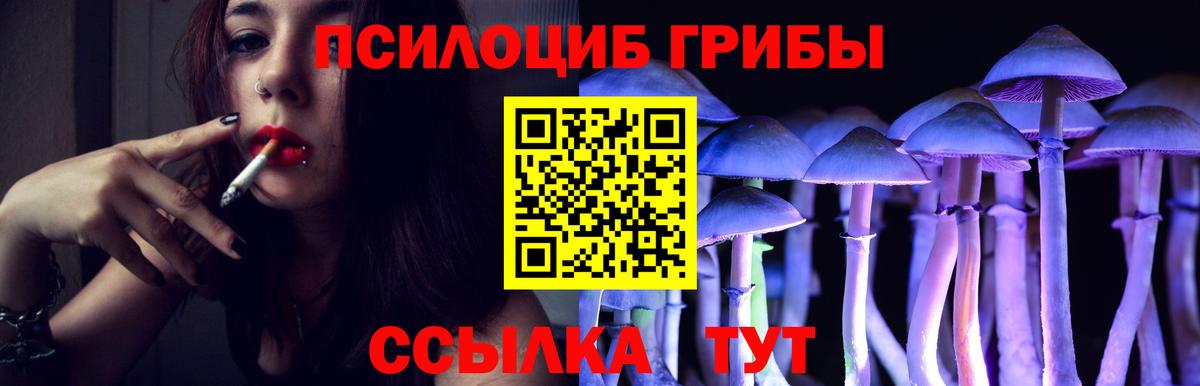 Галлюциногенные грибы мухоморы Балашиха